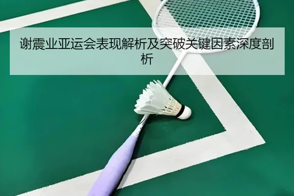 谢震业亚运会表现解析及突破关键因素深度剖析